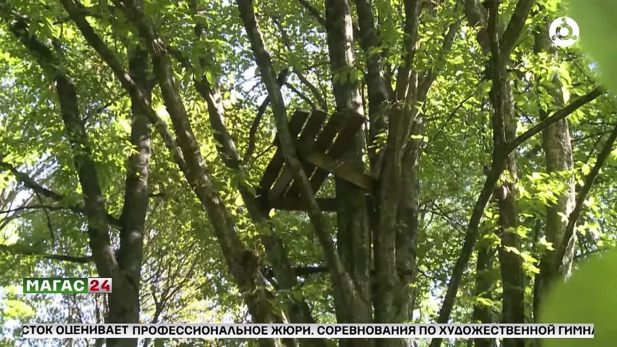Минприроды оштрафовало 16 нарушителей за несвоевременную экологическую отчётность