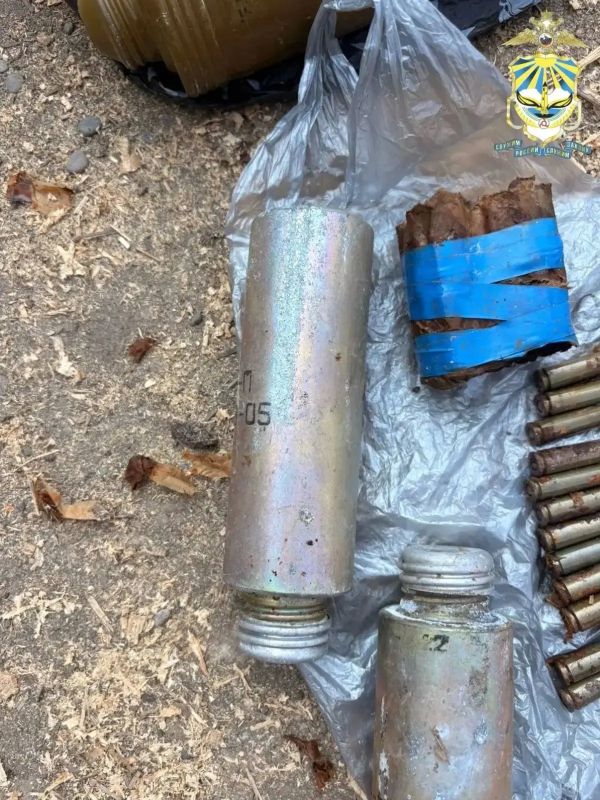 Несколько гранат были спрятаны в сарае Несколько гранат были спрятаны в сарае