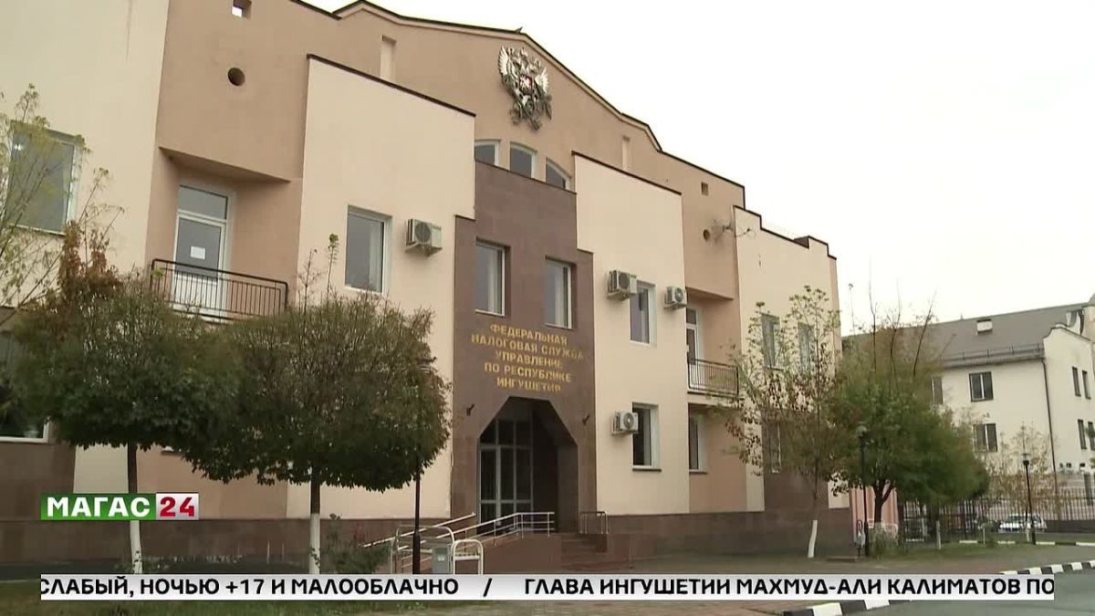 Налоговые уведомления на "Госуслугах": с 1 августа заявления не понадобятся