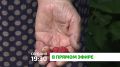 «В прямом эфире». Сегодня в 19:30 на телеканале «Магас» мы обсудим важные вопросы, касающиеся бюджета и развития Малгобекского района