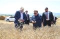 Махмуд-Али Калиматов ознакомился с ходом уборочной кампании в Малгобекском районе