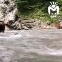 ����� ������� ���� �������, ���������� � ���� ���� � ���������