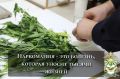 �� ������������ - ������������ ��������������� ��������