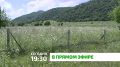 "В прямом эфире". Земля и имущество — основа развития региона Сегодня в прямом эфире обсудим деятельность Министерства имущественных и земельных отношений Республики Ингушетия
