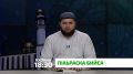 "П1аьраска бийса". Х1ара сага вахаргахьа эшаш долаш, цунца сага даькъал хулаш долча х1амаех да, сага ший дин довзар