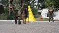 � ������ �������� ������� ������ ������� � ������������ ������������ ���������� ��� ������ �� ��