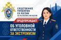 Следственное управление СК России по Республике Ингушетия предупреждает об уголовной ответственности за экстремизм