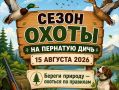 В Ингушетии 15 августа стартует сезон охоты на пернатую дичь