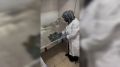 В музее Ингушетии создали мастерскую для реставрации текстиля