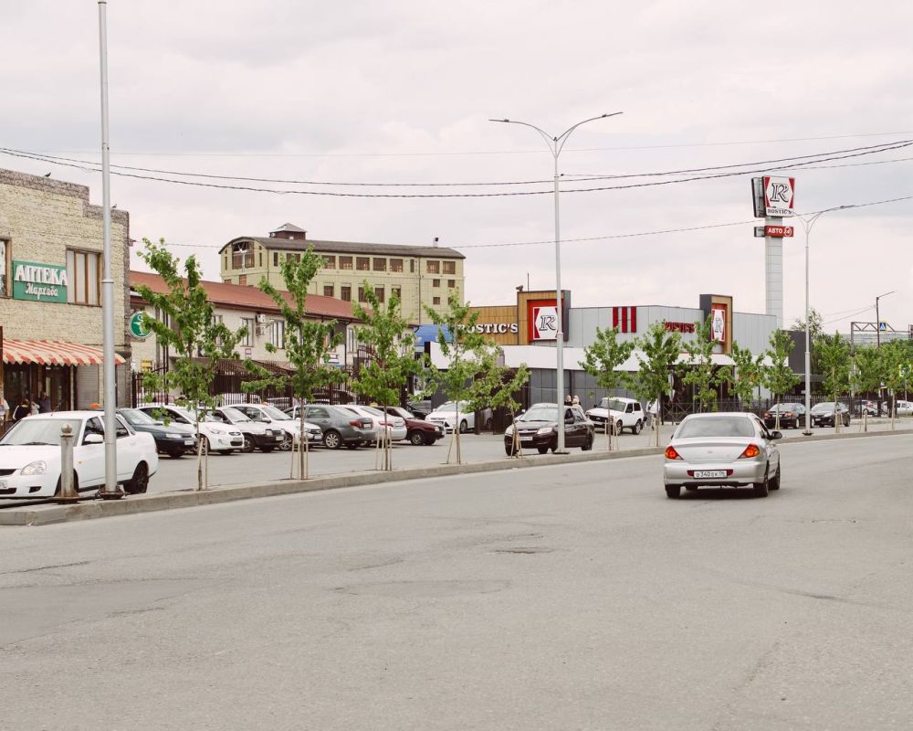 245 кадров Назрани: продолжаем собирать историю города 245 кадров Назрани: продолжаем собирать историю города