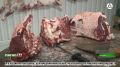 Ветеринары Ингушетии проверили мясные ряды: качество продукции под контролем