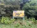 В Ингушетии принимают меры для профилактики лесных пожаров