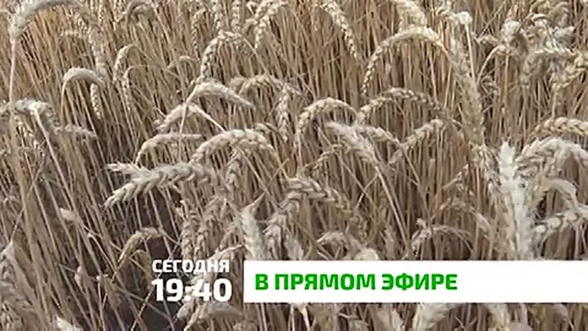 "В прямом эфире". За последние годы сельскохозяйственная отрасль стала одним из драйверов роста экономики Ингушетии