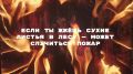 Не дайте шелесту деревьев и пению птиц смениться треском огня в пылающем лесу!
