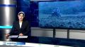 Вай мехка юртабоахамхой кийчо яш ба гурахьа дув ялат д1аде