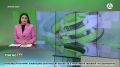 Сегодня отмечается Всемирный день сердца
