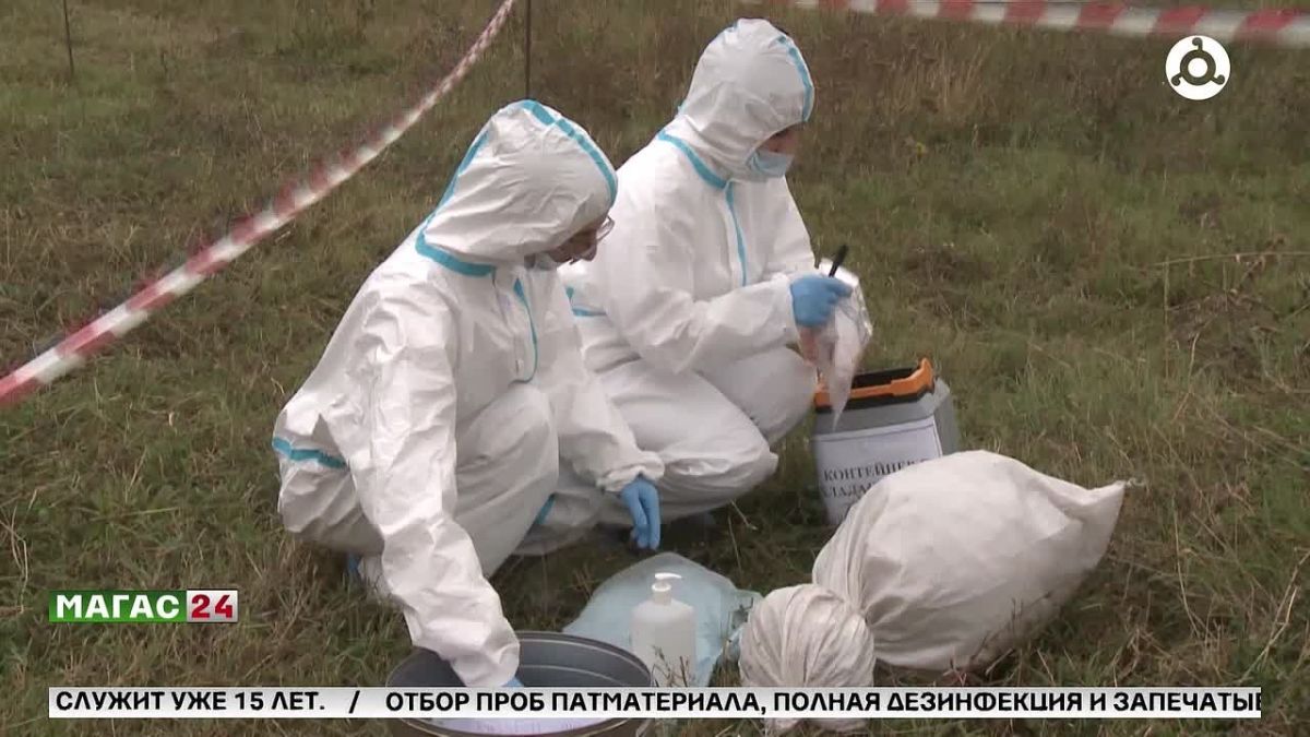 В Ингушетии прошли межрегиональные учения ветеринарных служб по локализации и ликвидации ящура