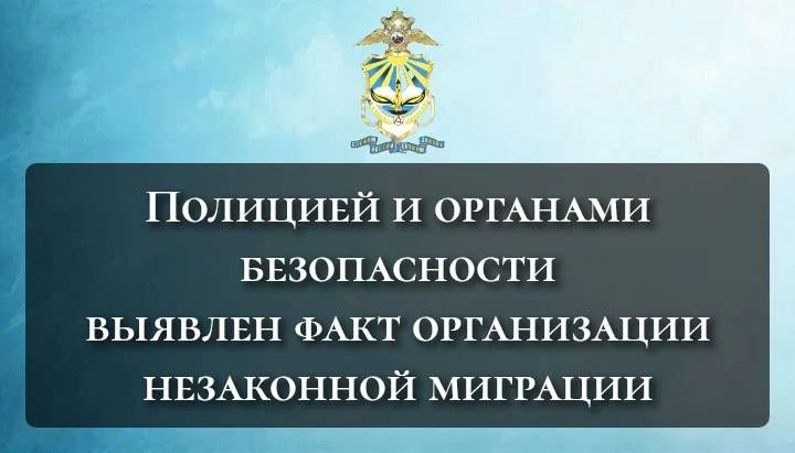 Полицией и органами безопасности выявлен факт организации незаконной миграции