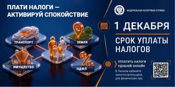 Жителям Ингушетии напоминают о сроках уплаты налогов за 2025 год