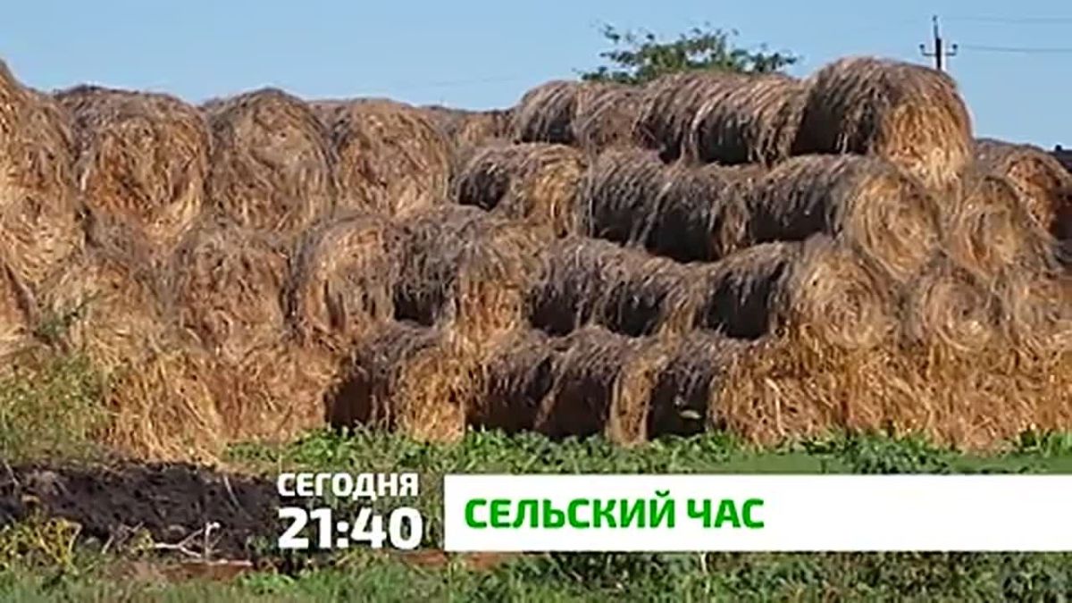 «Сельский час». В Ингушетии работают десятки крестьянско-фермерских хозяйств, занимающихся животноводством