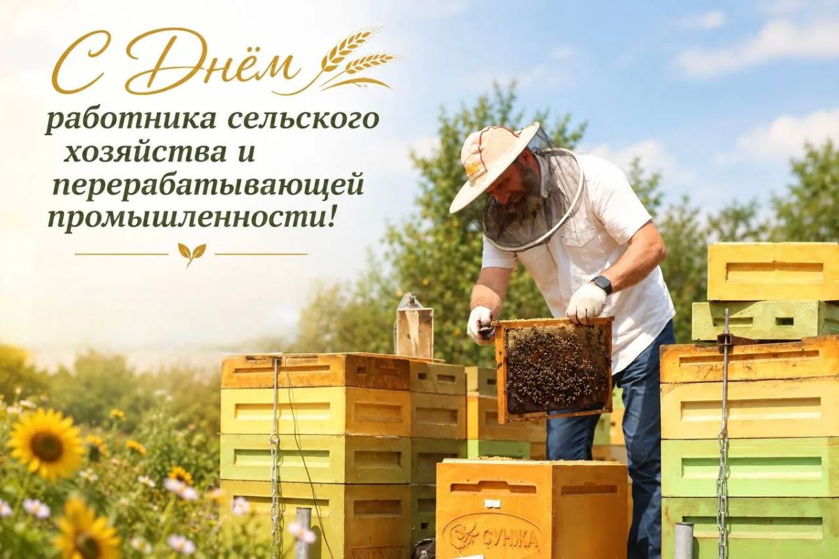 Сегодня отмечается День работника сельского хозяйства и перерабатывающей промышленности