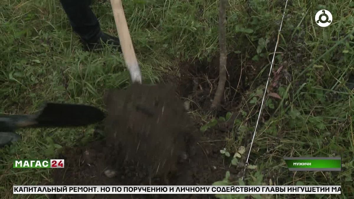В Ингушетии в рамках акции "Сохраним лес" высадили более 300 саженцев