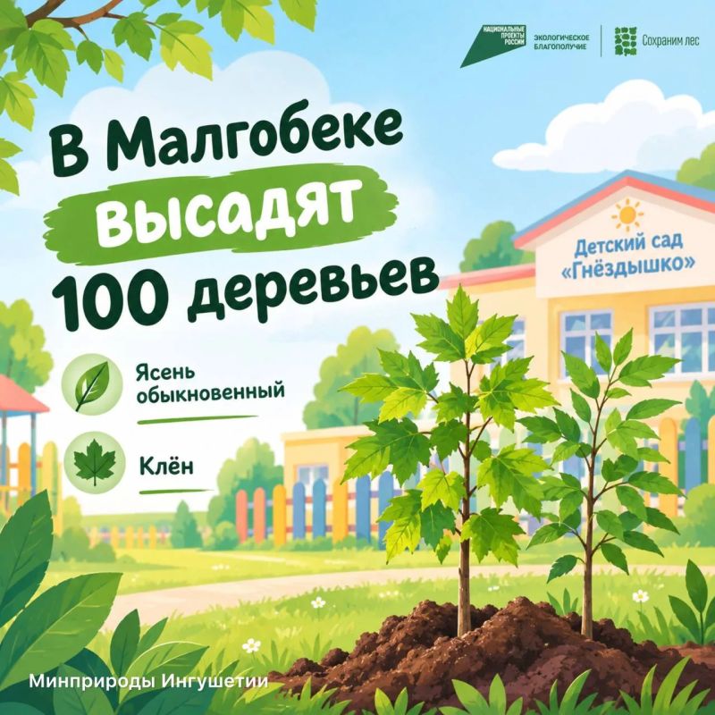 В Малгобеке у детского сада высадят порядка 100 деревьев в рамках «Сохраним лес»